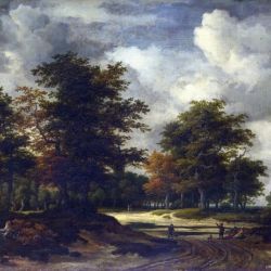 A Road leading into a Wood
